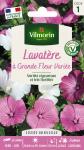 Fleurs - Lavatère à Grande Fleur Variée - PACKAGING_RECTO